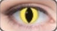 Lente de contacto de Halloween Cat Eye