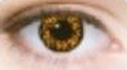 Lente de contacto de Halloween Wolf (Black Orange)