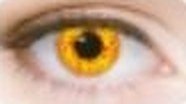 Lente de contacto de Halloween Wolf (Red Yellow)